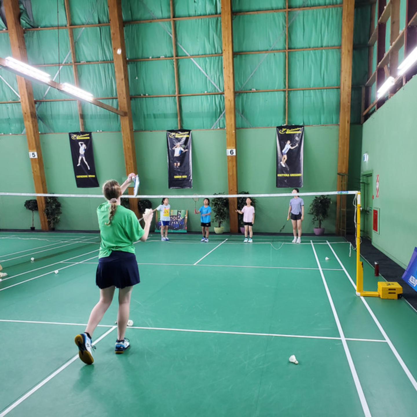 Waitakere Badminton mobile image